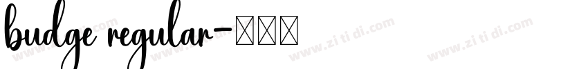 budge regular字体转换